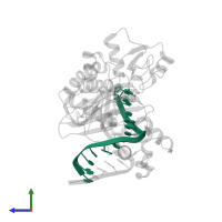 5'-D(*GP*GP*TP*TP*GP*GP*AP*TP*GP*GP*TP*AP*(DDG))-3' in PDB entry 2au0, assembly 1, side view.