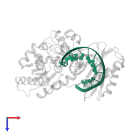 5'-D(*GP*GP*TP*TP*GP*GP*AP*TP*GP*GP*TP*AP*(DDG))-3' in PDB entry 2au0, assembly 1, top view.