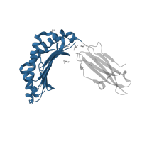 The deposited structure of PDB entry 2av7 contains 2 copies of CATH domain 3.30.500.10 (Murine Class I Major Histocompatibility Complex, H2-DB; Chain A, domain 1) in HLA class I histocompatibility antigen, A alpha chain. Showing 1 copy in chain A.