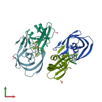 PDB entry 2avv coloured by chain, front view.