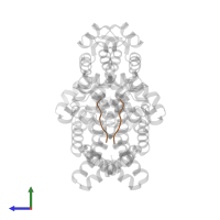 peptide in PDB entry 2aw6, assembly 1, side view.