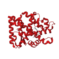 The deposited structure of PDB entry 2ax7 contains 1 copy of CATH domain 1.10.565.10 (Retinoid X Receptor) in Androgen receptor. Showing 1 copy in chain A.