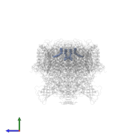 5-[(2E,6E,10E,14E,18E,22E)-3,7,11,15,19,23,27-HEPTAMETHYLOCTACOSA-2,6,10,14,18,22,26-HEPTAENYL]-2,3-DIMETHYLBENZO-1,4-QUINONE in PDB entry 2axt, assembly 1, side view.