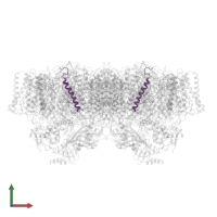 Photosystem II reaction center protein I in PDB entry 2axt, assembly 1, front view.