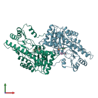 PDB entry 2ay1 coloured by chain, front view.