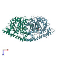 PDB entry 2ay5 coloured by chain, top view.