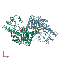 PDB entry 2ay8 coloured by chain, front view.