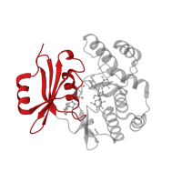 The deposited structure of PDB entry 2b0q contains 1 copy of CATH domain 3.30.200.20 (Phosphorylase Kinase; domain 1) in Aminoglycoside 3'-phosphotransferase. Showing 1 copy in chain A.