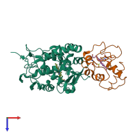 PDB entry 2b12 coloured by chain, top view.