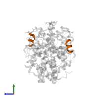 Nuclear receptor coactivator 2 in PDB entry 2b23, assembly 1, side view.