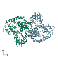 PDB entry 2b2n coloured by chain, front view.