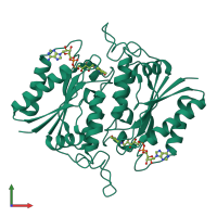 Homo dimeric assembly 1 of PDB entry 2b3d coloured by chemically distinct molecules, front view.