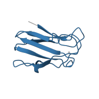 The deposited structure of PDB entry 2b3i contains 1 copy of Pfam domain PF00127 (Copper binding proteins, plastocyanin/azurin family) in Plastocyanin. Showing 1 copy in chain A.
