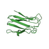 The deposited structure of PDB entry 2b3i contains 1 copy of SCOP domain 49504 (Plastocyanin/azurin-like) in Plastocyanin. Showing 1 copy in chain A.