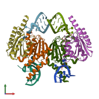 PDB entry 2b3j coloured by chain, front view.