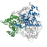 The deposited structure of PDB entry 2b3x contains 2 copies of CATH domain 3.30.499.10 (Aconitase; domain 3) in Cytoplasmic aconitate hydratase. Showing 2 copies in chain A.