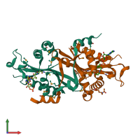 PDB entry 2b4d coloured by chain, front view.