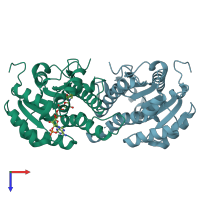 PDB entry 2b4q coloured by chain, top view.