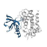 The deposited structure of PDB entry 2b4s contains 2 copies of CATH domain 3.30.200.20 (Phosphorylase Kinase; domain 1) in Insulin receptor subunit beta. Showing 1 copy in chain B.