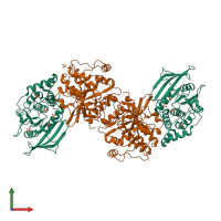 Hetero tetrameric assembly 1 of PDB entry 2b4s coloured by chemically distinct molecules, front view.