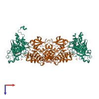 Hetero tetrameric assembly 1 of PDB entry 2b4s coloured by chemically distinct molecules, top view.