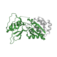 The deposited structure of PDB entry 2b4y contains 4 copies of Pfam domain PF02146 (Sir2 family) in NAD-dependent protein deacylase sirtuin-5, mitochondrial. Showing 1 copy in chain C.