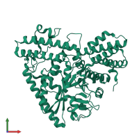 PDB entry 2b5d coloured by chain, front view.