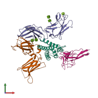 Hetero tetrameric assembly 1 of PDB entry 2b5i coloured by chemically distinct molecules, front view.