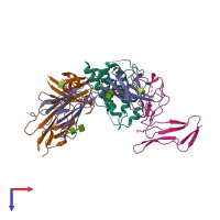 Hetero tetrameric assembly 1 of PDB entry 2b5i coloured by chemically distinct molecules, top view.