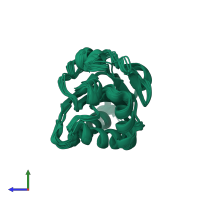 PDB entry 2b5y coloured by chain, ensemble of 11 models, side view.
