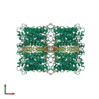 Homo octameric assembly 1 of PDB entry 2b6o coloured by chemically distinct molecules, front view.