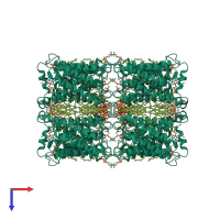 Homo octameric assembly 1 of PDB entry 2b6o coloured by chemically distinct molecules, top view.