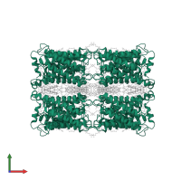 Lens fiber major intrinsic protein in PDB entry 2b6o, assembly 1, front view.