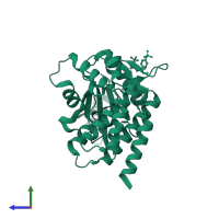 Tyrosine-protein kinase JAK2 in PDB entry 2b7a, assembly 1, side view.