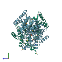PDB entry 2b7o coloured by chain, side view.