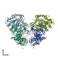 PDB entry 2b81 coloured by chain, front view.