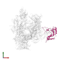 DNA-directed RNA polymerase II subunit RPB4 in PDB entry 2b8k, assembly 1, front view.