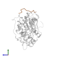 Serine/threonine-protein kinase STE7 in PDB entry 2b9h, assembly 1, side view.