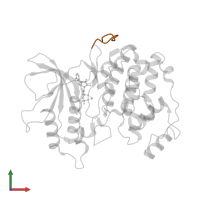 PDB 2b9j contains 1 copy of Cyclin-dependent kinase inhibitor FAR1 in assembly 1. This protein is highlighted and viewed from the front.