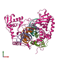PDB entry 2b9s coloured by chain, front view.