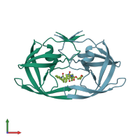 PDB entry 2bbb coloured by chain, front view.