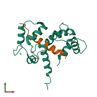 PDB entry 2bbm coloured by chain, front view.