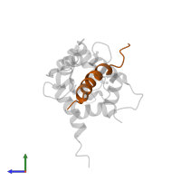 Myosin light chain kinase 2, skeletal/cardiac muscle in PDB entry 2bbm, assembly 1, side view.