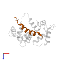 Myosin light chain kinase 2, skeletal/cardiac muscle in PDB entry 2bbm, assembly 1, top view.