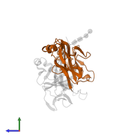 HLA class II histocompatibility antigen, DM beta chain in PDB entry 2bc4, assembly 1, side view.
