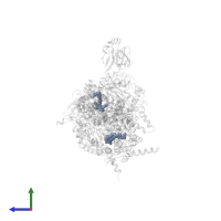 1,2-dioleoyl-sn-glycero-3-phosphoethanolamine in PDB entry 2bcc, assembly 1, side view.