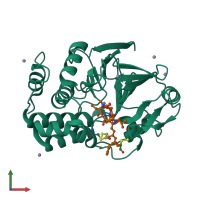 PDB entry 2bcd coloured by chain, front view.