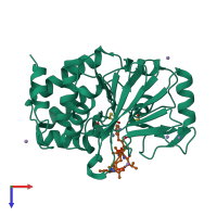 PDB entry 2bcd coloured by chain, top view.