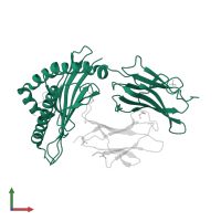 HLA class I histocompatibility antigen, A alpha chain in PDB entry 2bck, assembly 2, front view.