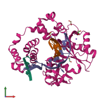 PDB entry 2bcr coloured by chain, front view.